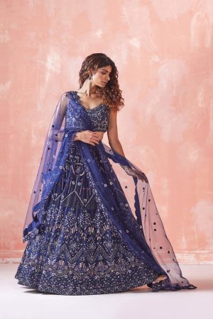 Dark Blue Embroidered Lehenga Set
