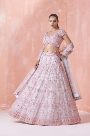 Light Grey Embroidered Lehenga Set